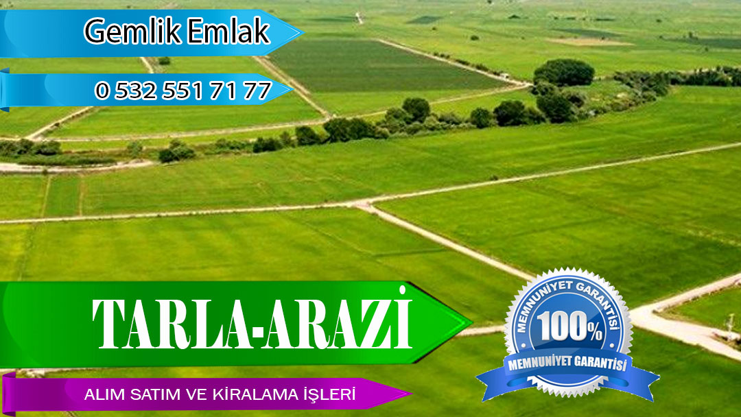 Tarla-arazi Tarla Alım Satım Kiralama