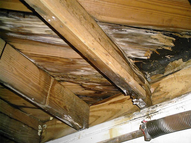 Evin çatısını kontrol etmek