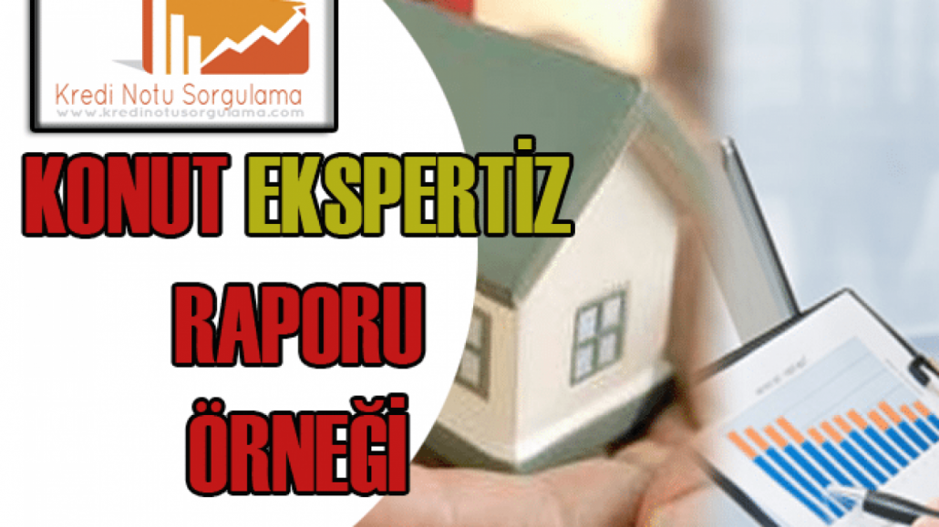 Dairenin ekspertiz ve hazırlanması